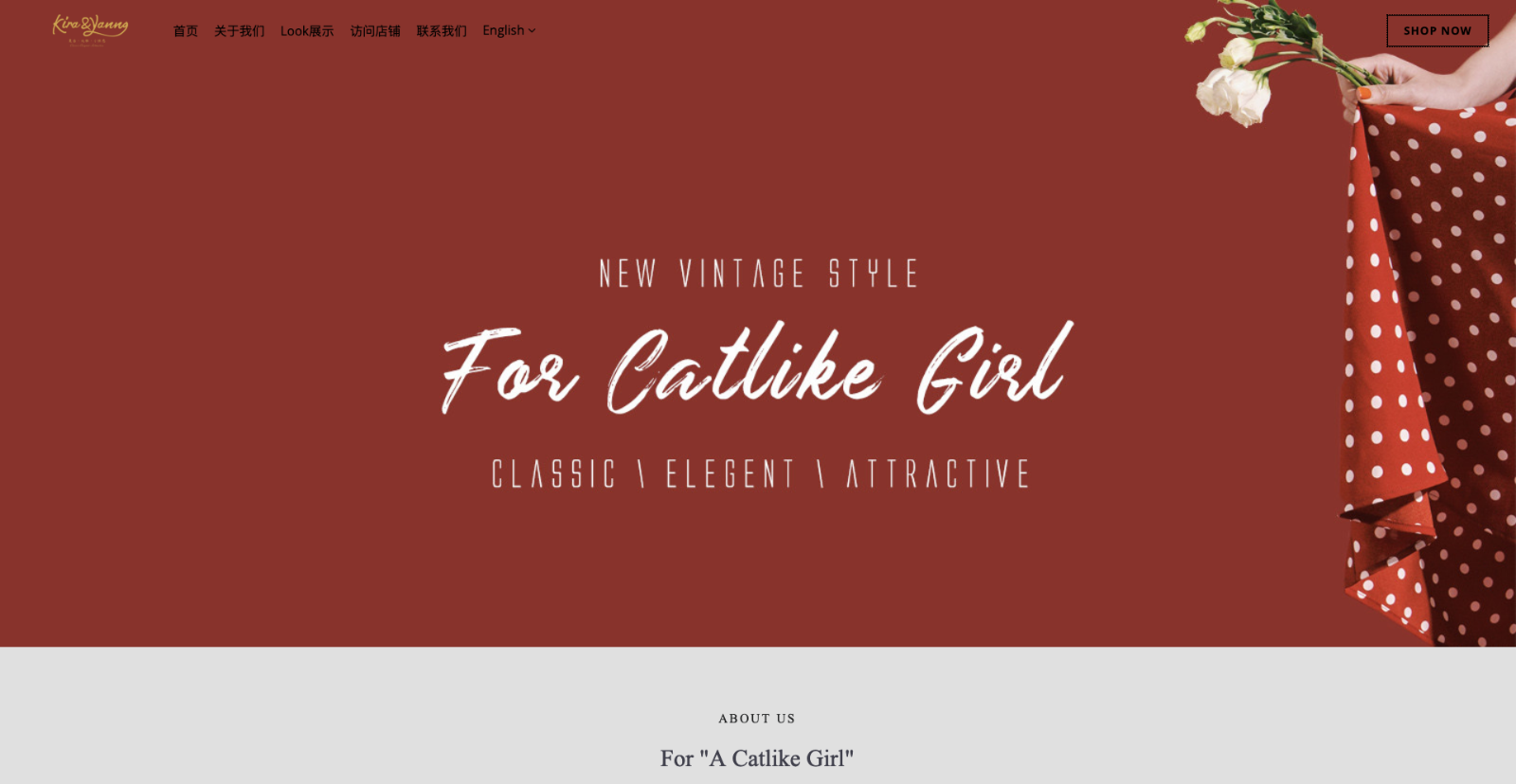 上线了案例 外贸服装网站案例